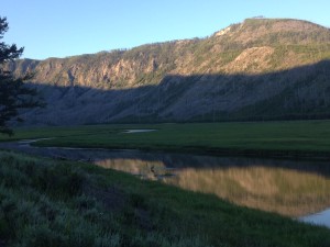 IMG_1949