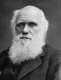 darwin charles beard